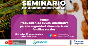 (Charla Gratuita) CONCYTEC: Producción de cuyes, alternativa para la seguridad alimentaria en familias rurales