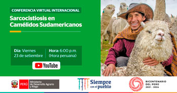(Conferencia Virtual Gratuita) MIDAGRI: Sarcocistiosis en camélidos sudamericanos