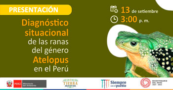 (Charla Virtual) MINAM: Diagnóstico situacional de las ranas del género atelopus en el Perú