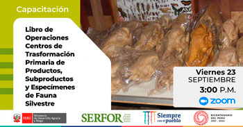 (Capacitación Virtual Gratuita) SERFOR: Libro de operaciones de centros de transformación primaria