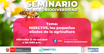 (Charla Virtual Gratuita) CONCYTEC: Insectos, los pequeños aliados de la agricultura