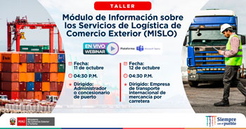 Talleres virtuales gratuitos del módulo de información sobre los servicios de logística de comercio exterior (MISLO)