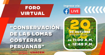 Foro virtual gratuito sobre la conservación de las lomas costeras peruanas