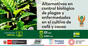 (Capacitación Gratuita) INIA: Alternativas en control biológico de plagas y enfermedades en el cultivo de café y cacao