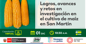 (Capacitación Virtual Gratuita) INIA: Logros, avances y retos en investigación en el cultivo de maíz en San Martín