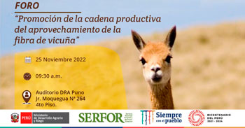 (Foro Presencial) SERFOR: Promoción de la cadena productiva del aprovechamiento de la fibra de vicuña
