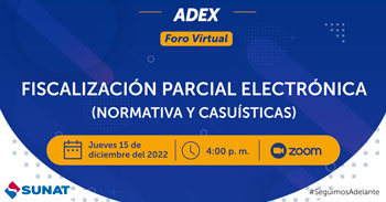 Conferencia virtual acerca de la fiscalización parcial electrónica (Normativa y Casuísticas)