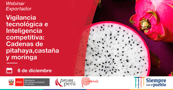 (Webinar) PROMPERU: Vigilancia tecnológica e inteligencia competitiva en cadenas de pitahaya, castaña y moringa