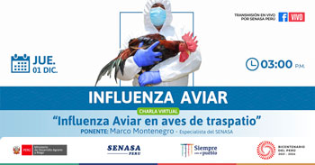 (Charla Virtual Gratuita) SENASA: Influenza aviar en aves de traspatio