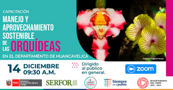 (Capacitación Gratuita) SERFOR: Manejo y aprovechamiento sostenible de las orquídeas en la región Huancavelica