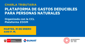 Charla virtual sobre la plataforma de gastos deducibles para personas naturales