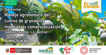 Charla virtual sobre el manejo agronómico del cultivo de granadilla mejorada y comercialización 