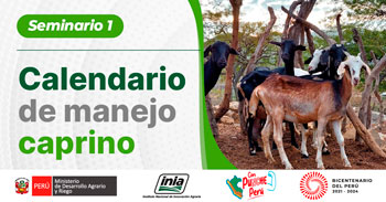 (Seminario Virtual Gratuito) INIA: Calendario de manejo caprino