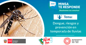 Evento online gratis acerca del dengue, riesgos y prevención en temporada de lluvias