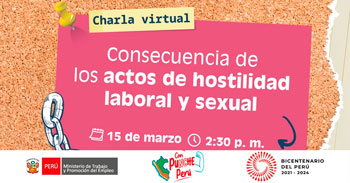 (Charla Virtual Gratuita) MTPE: Consecuencia de los actos de hostilidad laboral y sexual