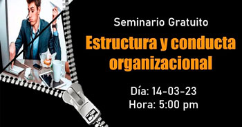 Seminario taller virtual gratuito sobre Estructura y conducta organizacional