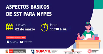 (Charla Virtual Gratuita) SUNAFIL: Aspectos básicos de seguridad y salud en el trabajo para Mypes