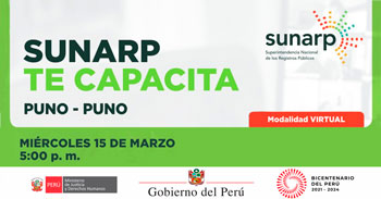 (Charla Gratuita) SUNARP: Aspectos tecnológicos de los servicios registrales en línea, según el enfoque del usuario