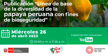 Presentacion Publicación "Línea de base de la diversidad de la  papaya peruana con fines de bioseguridad"