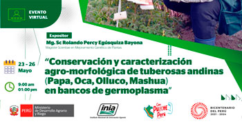Capacitación online "Conservación y caracterización agro-morfológica de tuberosas andinas" del MIDAGRI