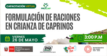 Capacitación online "Formulación de raciones en crianza de caprinos" del INIA