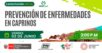Capacitación online "Prevención de enfermedades en caprinos" del INIA