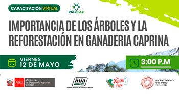 Capacitación online "Importancia de los árboles y la reforestación en ganadería caprina" del INIA