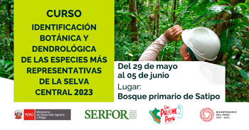 Curso "Identificación botánica y dendrológica de las especies más representativas de la selva central 2023"