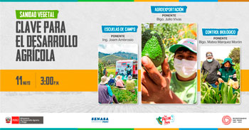 Sanidad "Vegetal clave para el desarrollo agrícola" del SENASA