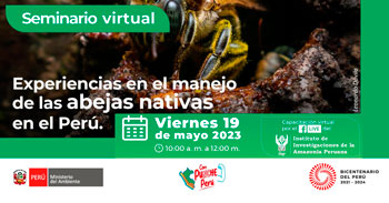 Seminario online "Experiencias en manejo de las abejas nativas  en el Perú" del (MINAM)