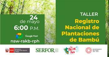 Taller online gratis "Registro Nacional de Plantaciones de bambú"  de Serfor Perú