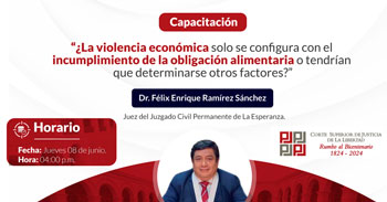 Capacitación virtual La violencia económica solo se configura con el incumplimiento de la obligación alimentaria