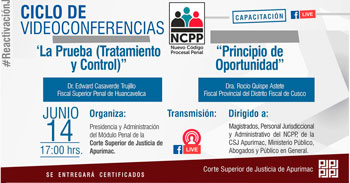 Conferencia online sobre "La Prueba (Tratamiento y Control) y Principio de Oportunidad"