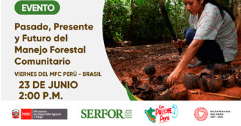 Evento online "Pasado, Presente y Futuro del Manejo Forestal Comunitario"