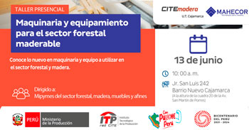 Taller Presencial "Maquinaria y equipamiento para el sector forestal maderable" de CITEmadera