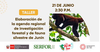 Taller online gratis Elaboración de la agenda regional de investigación forestal y de fauna silvestre de Junín