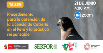 Taller online gratis Procedimiento para la obtención de la Licencia de Cetrería en el Perú y la práctica responsable