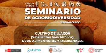 Charla online gratis "Cultivo de Llacón (Smallantus Sonchifolios), usos alimenticios y medicinales"