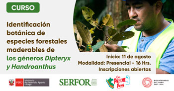 Curso "Identificación botánica y dendrológica de las especies más representativas de la selva central 2023"