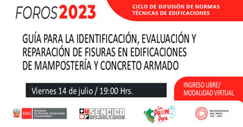 Foro online gratis "Guía para la identificación, evaluación y reparación de fisuras en edificaciones."