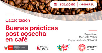 Capacitación online "Buenas prácticas poscosecha del café" de PromPerú