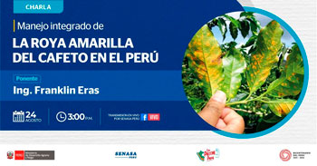 Charla online gratis "Manejo integrado de la roya amarilla del cafeto en el Perú" de SENASA