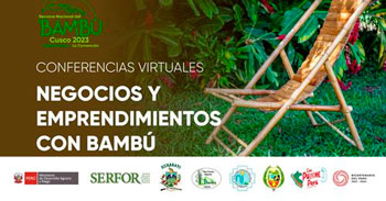 Conferencias virtuales negocios y emprendimientos con bambú de SERFOR