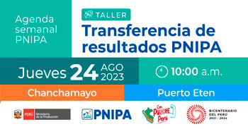 Participar de los talleres de transferencia de resultados del PNIPA