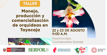 Taller presencial "Manejo, producción y comercialización de orquídeas en Tayacaja" de Serfor Perú