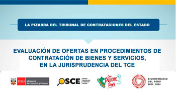 Webinar Evaluación de ofertas en procedimientos de contratación de bienes y servicios, en la jurisprudencia del TCE
