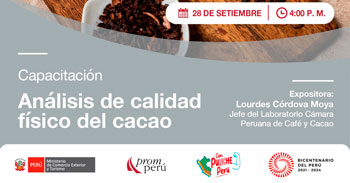 Capacitación online "Análisis de calidad físico del cacao" de PromPerú