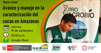 Charla virtual "Avance y manejo en la caracterización del cacao en Amazonas"