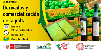 Charla virtual "Derivados y comercialización  de la palta" de Agro Rural