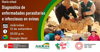 Charla virtual "Diagnóstico de enfermedades parasitarias e infecciosas en ovinos"